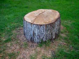 Best Emergency Tree Removal  in North Pole, AK