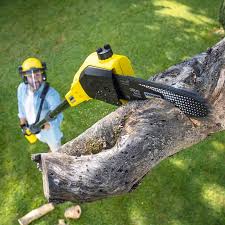 Best Leaf Removal  in North Pole, AK