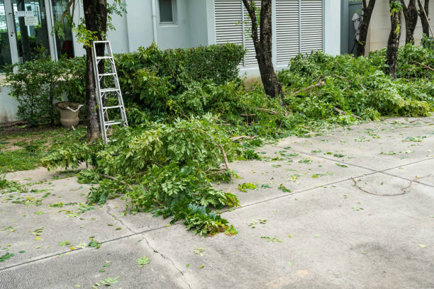 Best Arborist Consultation Services  in North Pole, AK